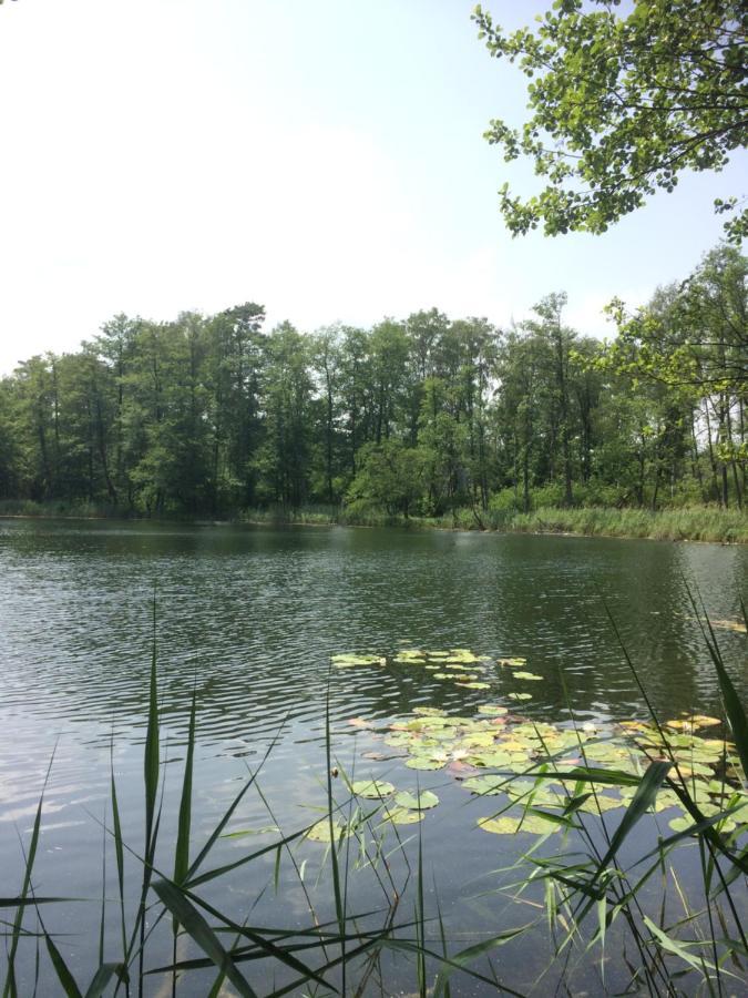 Satnatorium Panzió Tuczno Kültér fotó